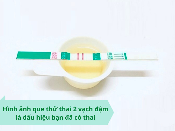 hinh-anh-que-thu-thai-2-vach-dam Hình ảnh que thử thai 2 vạch đậm thật