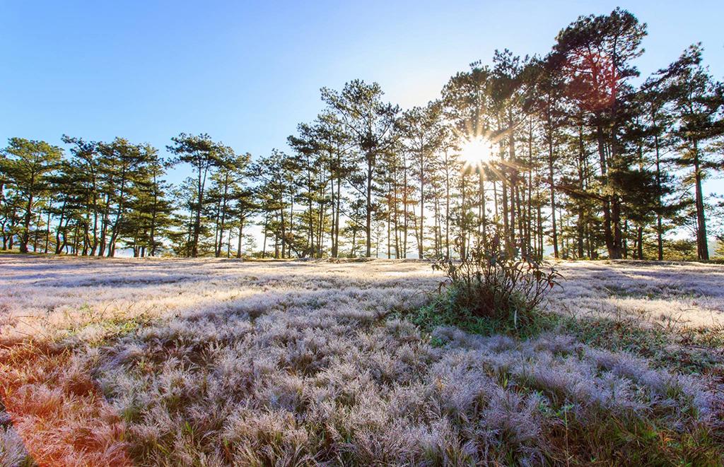 Hình ảnh thảo nguyên Đà Lạt Hình ảnh thảo nguyên Đà Lạt