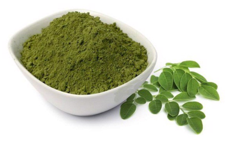 Thành phẩm bột chùm ngây