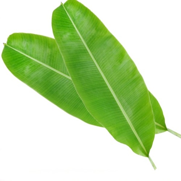 la-chuoi-xuat-khau-1 la-chuoi-xuat-khau-1 banh-nep bánh nếp Hướnɡ dẫn cách làm bánh nếp nhân đậu xanh la chuoi xuat khau 1