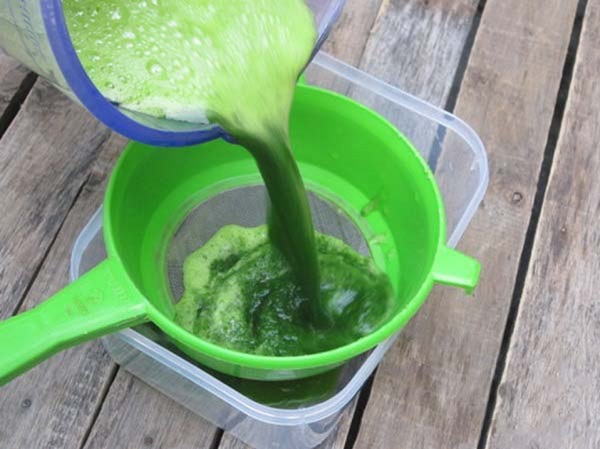 Lọc phần cốt nước lá dứa