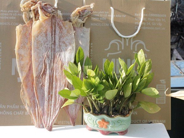 mg_8122_6b499eeed24f4eadbd513ba65568de28_grande mg 8122 6b499eeed24f4eadbd513ba65568de28 grande