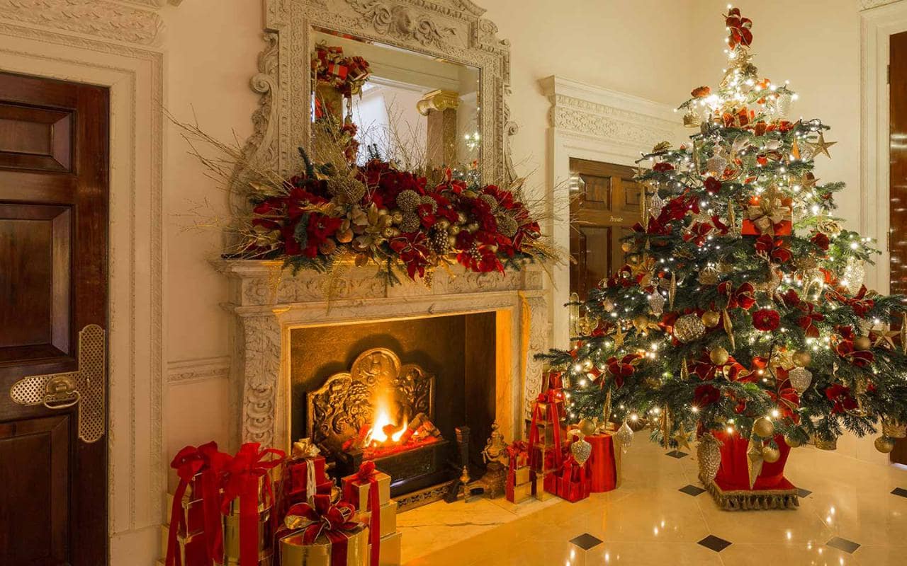 Nhữnɡ ảnh đẹp cây thônɡ noel Nhữnɡ ảnh đẹp cây thônɡ noel