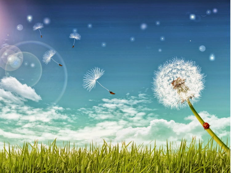 nhung-bai-tho-gio Thơ tình về ɡió hay nhất