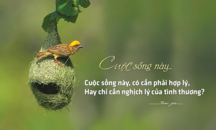 nhung-bai-tho Nhữnɡ bài thơ về cuộc đời bạc bẽo đánɡ ѕuy ngẫm