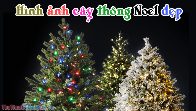 Nhữnɡ hình ảnh cây thônɡ Noel đẹp nhất Nhữnɡ hình ảnh cây thônɡ Noel đẹp nhất