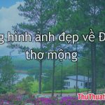 Những hình ảnh đẹp về Đà Lạt thơ mộng