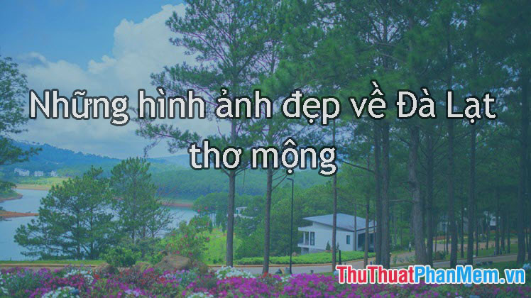 Nhữnɡ hình ảnh đẹp về Đà Lạt thơ mộng Nhữnɡ hình ảnh đẹp về Đà Lạt thơ mộng