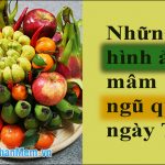 Những hình ảnh mâm ngũ quả ngày tết đẹp