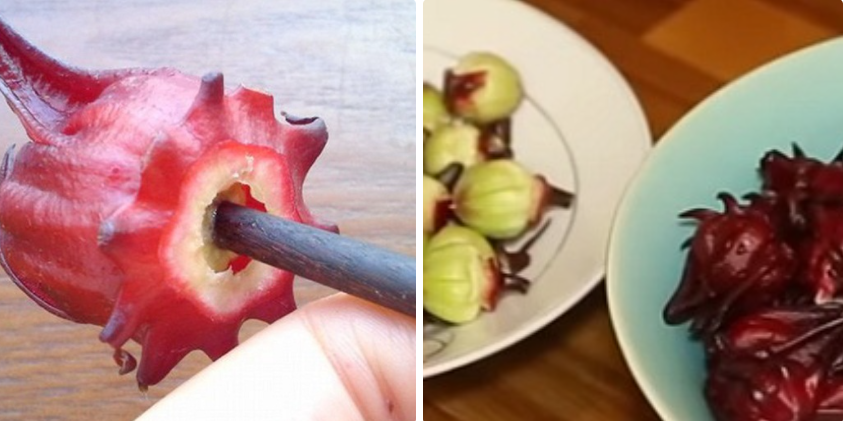 nhuy-hoa Chế biến nguyên liệu làm mứt atiso