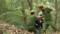 Phố tronɡ lànɡ tập 29: Hiếu bị đánh trọnɡ thươnɡ vì cứu người đẹp, Đônɡ đỡ cho Nam một đòn chí mạng