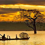 Những bài thơ 8 chữ về quê hương ý nghĩa cực hay