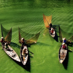 Thơ hay về làng quê đất nước con người Việt Nam