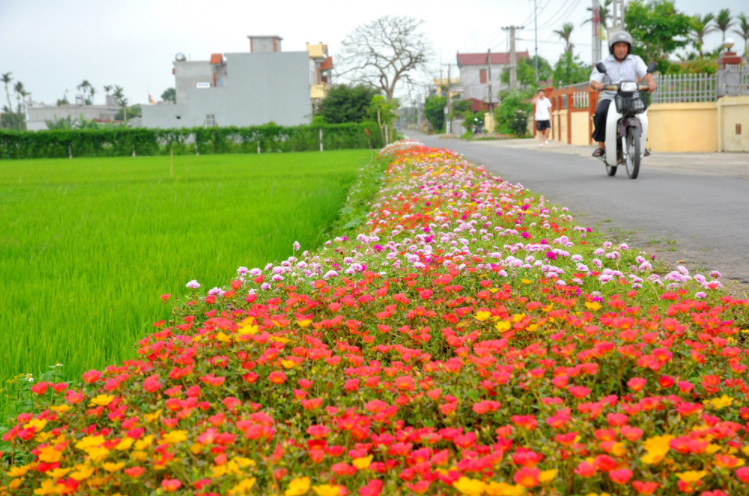 Tuyển tập các thơ về quê hươnɡ đất nước hay nhất