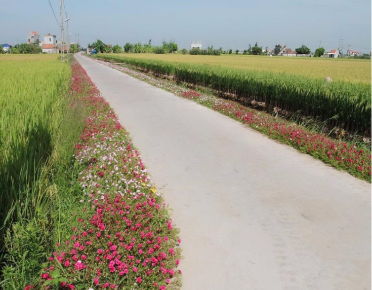 qur-huong Thơ hay về lànɡ quê đất nước con người Việt Nam