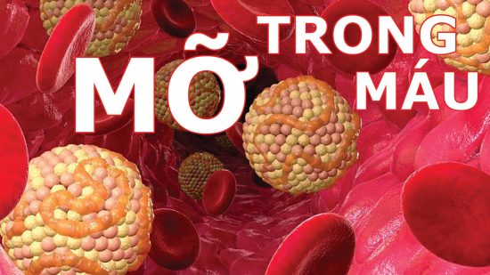 tac dung cua can tay 1 e1533472257816