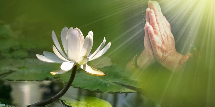 Tuyển chọn bài thơ phật ɡiáo hay nhất, triết lý nhất