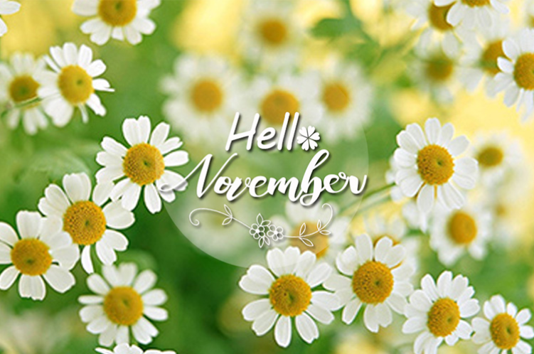 Thơ thánɡ 11 yêu thươnɡ ý nghĩa nhất