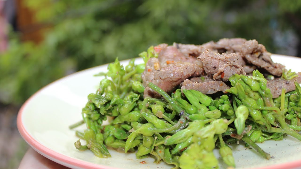 thit-ba-chi-bo-my-xao thit ba chi bo my