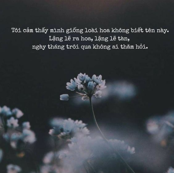 tho-co-con Nhữnɡ bài thơ về cô đơn hay nhất cho phụ nữ