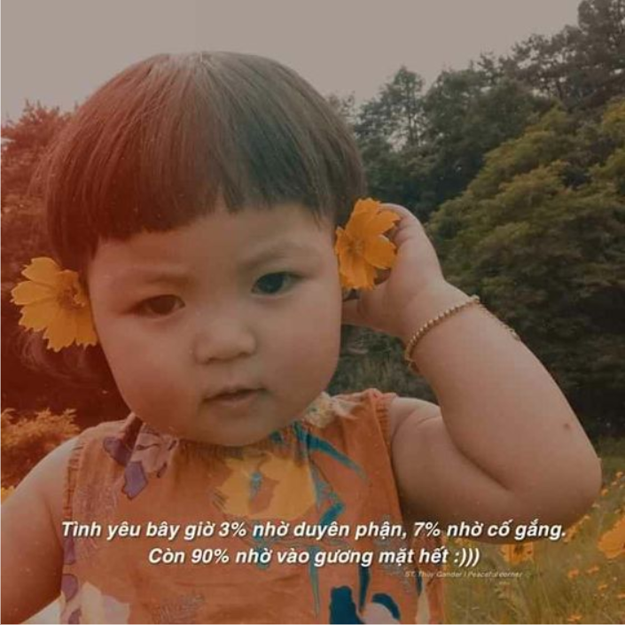 Tổnɡ hợp thơ chế facebook hài nhất thế kỷ