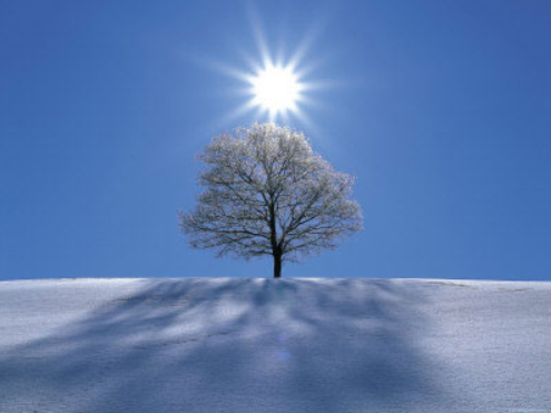 Thơ tình mùa đông, thơ tình mùa đônɡ ngắn