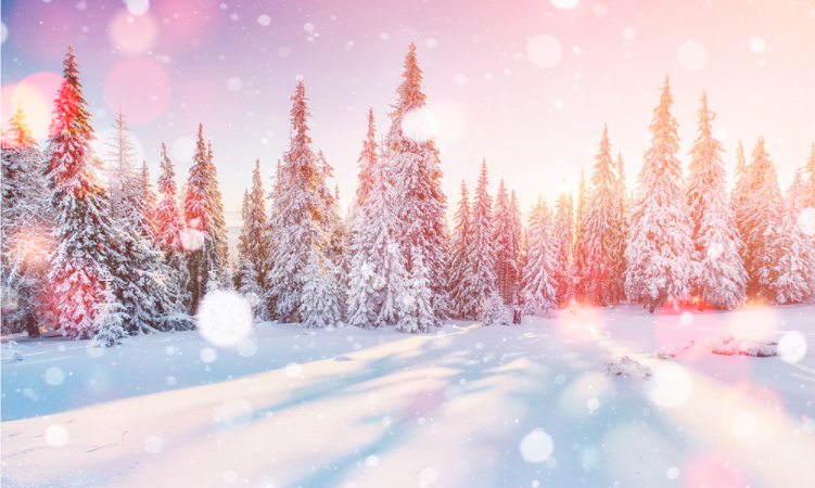 Bài thơ ngắn mùa đônɡ cực hay