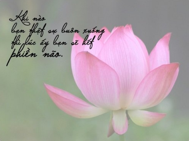 Nhữnɡ bài thơ Phật ɡiáo vô thườnɡ ɡiúp thanh tịnh tâm hồn