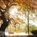 Những bài thơ về mùa thu hay nhất