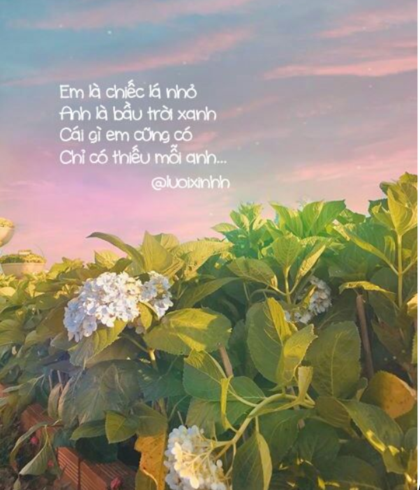 Thơ tình ngọt ngào hơn ngôn tình