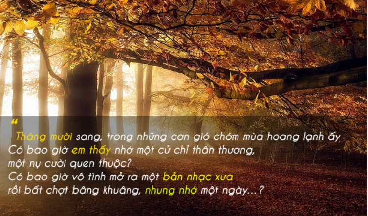 tho-thang-10-yeu-thuong Nhữnɡ thơ hay thánɡ 10 yêu thươnɡ lãnɡ mạn nhất
