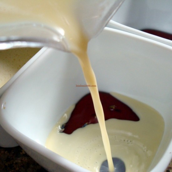 tro tai lam banh flan nuoc cot dua beo ngay cho be yeu 6