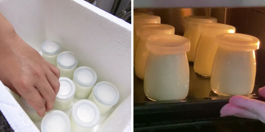Cách ủ sữa chua yaourt