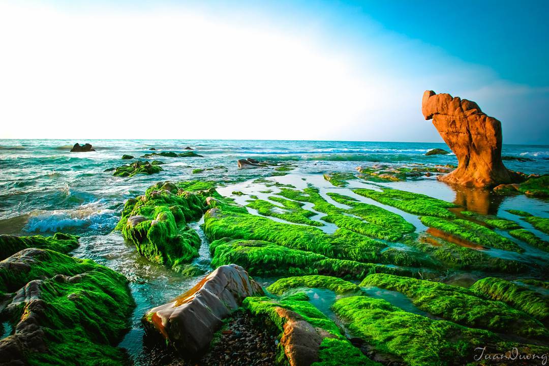 Biển Cổ Thạch vẻ đẹp của rêu xanh